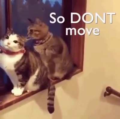 Let me love you!