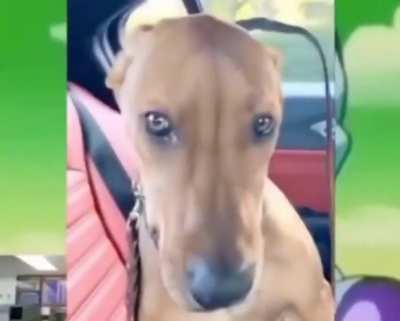 Damn daniel