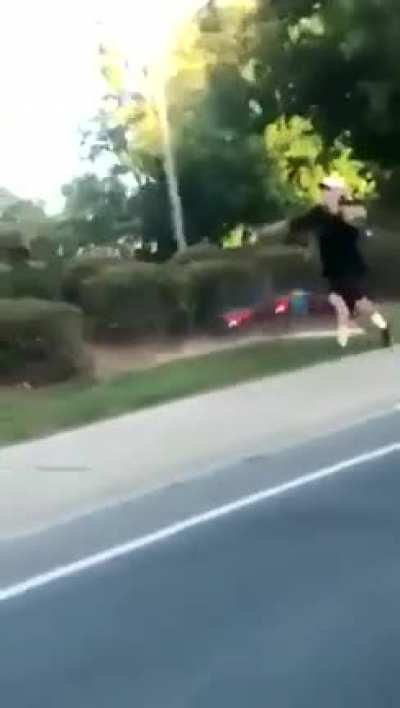 Blursed pet walking