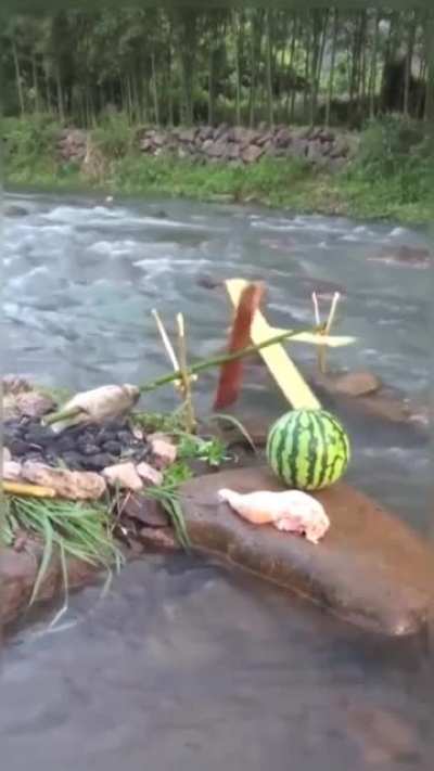 Cooking fish outdoors