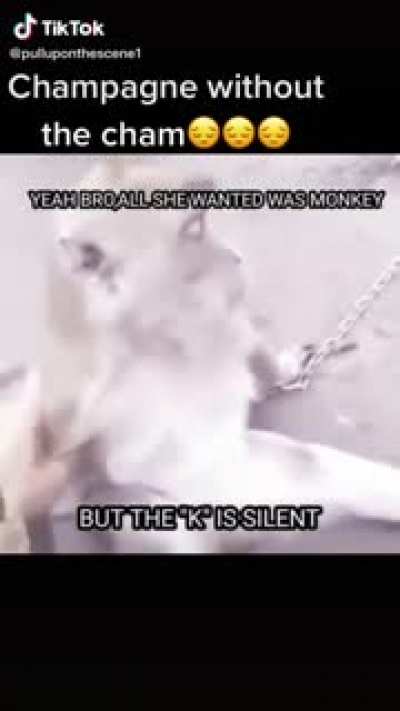Sad monkey moment 😔