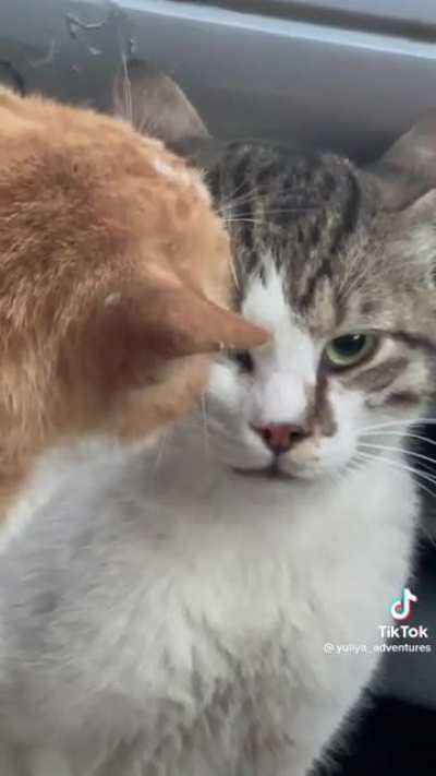 Maybe Maybe Maybe