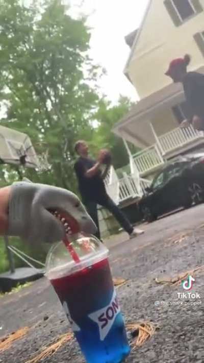 Shark Puppet