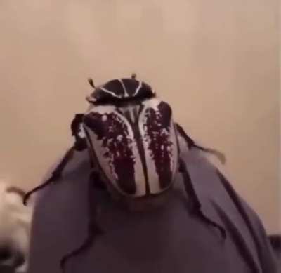 Неожи<wbr>данно