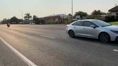 Idiots blowing through crosswalks