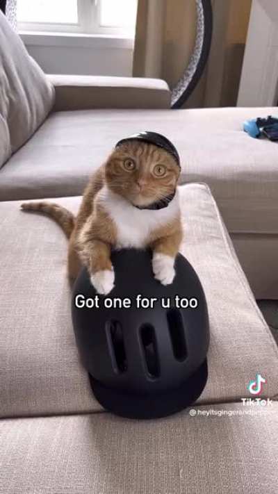 Wanna go for a bike ride?