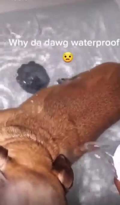 Waterproof Wunk