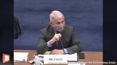 Fauci 
