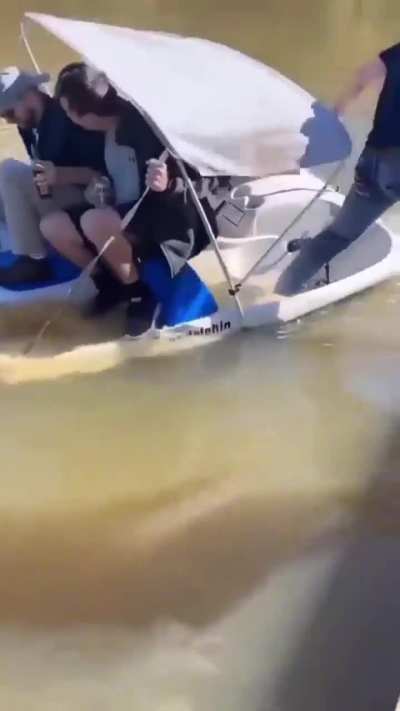 Maybe maybe maybe