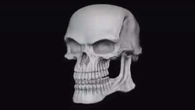 bones? more like boner