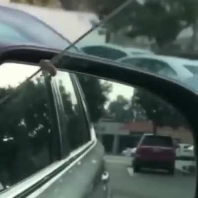 Mom raises car window with sitting bee
