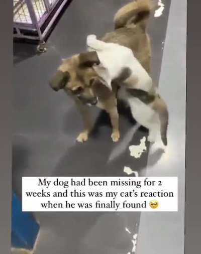 He missed his buddy