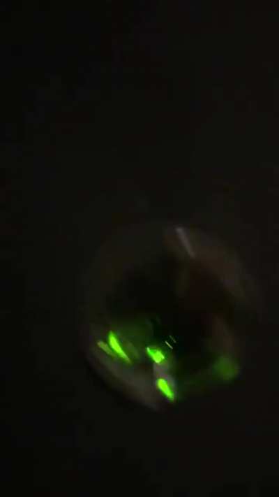 1 year old Goodman furnace, making a gurgling noise and not working, first time on for the season.