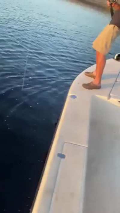 Fishin