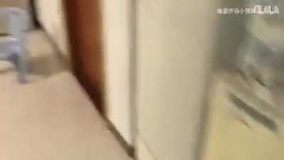 POV: You have a roommate that plays TNO
