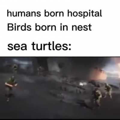 They have to earn their right to live