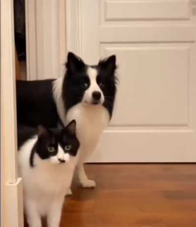 Twins...