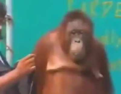 Monke magic
