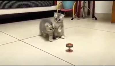 Wait no, don't touch it