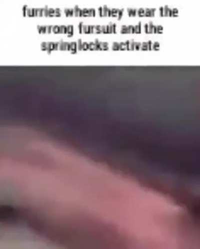 fnaf rule