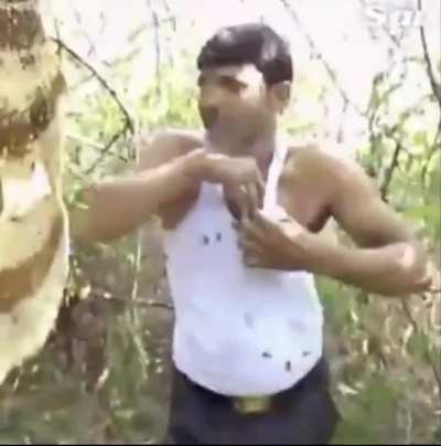cursed_bees
