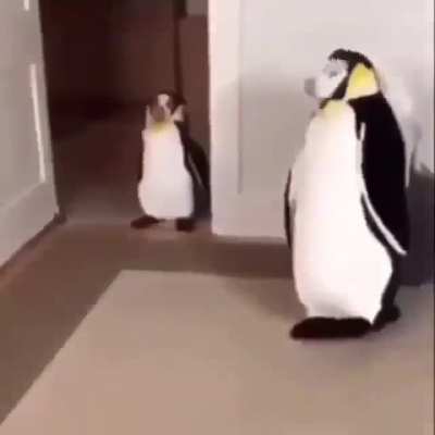 dunnndunnnn
