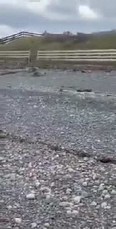 🔥 Rabbit emerges from the ocean. We have officially gone mad.