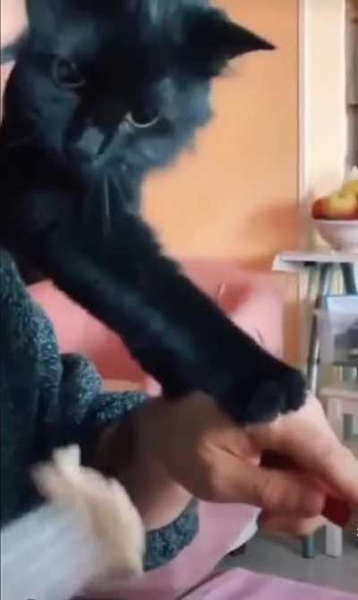 I'm not even mad, that's amazing