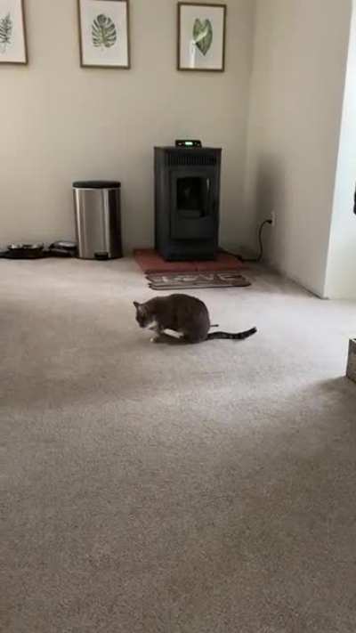 Scuse me while I pooterscoot across you’re floor...
