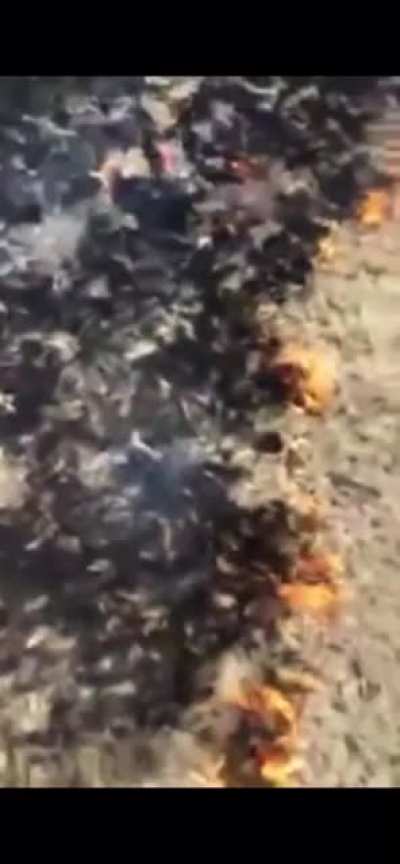 People fighting fire