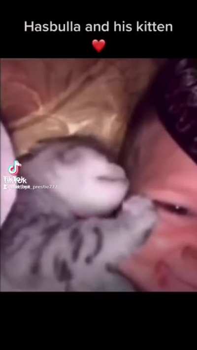 My little men and his kitten
