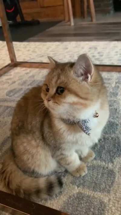 5 month old Kevin
