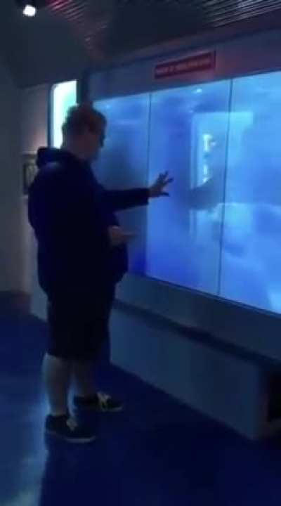 Touch at your own risk