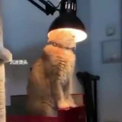 Beam me up, Scotty!