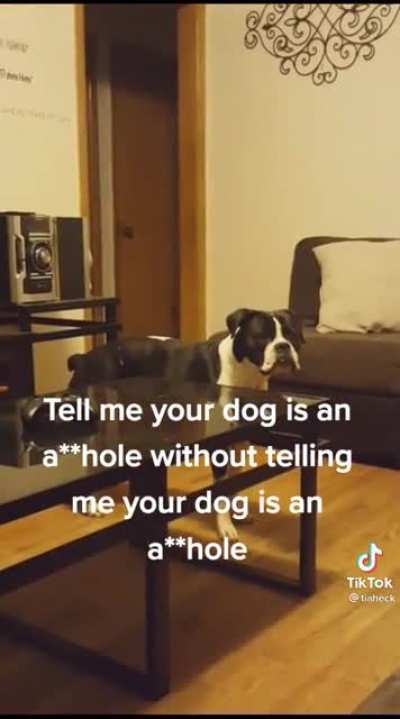 No treat no movie