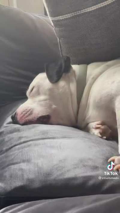 Sleeping beauty