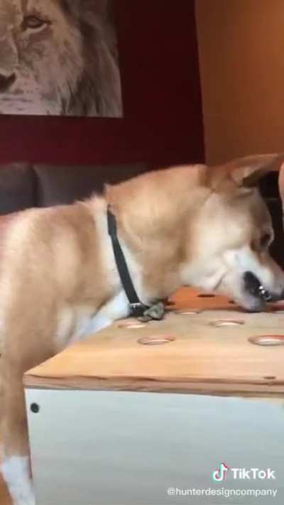 Dogs scream too