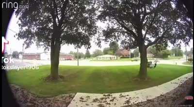 My man just wanted to mow the yard
