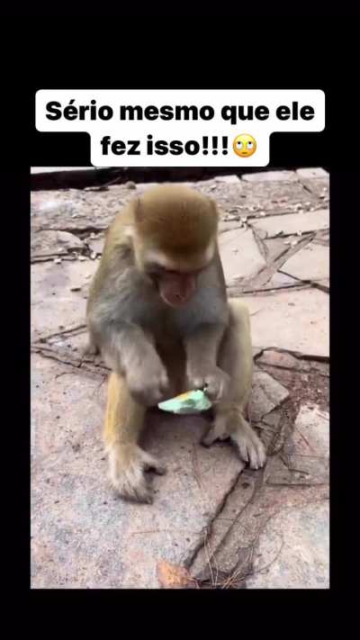 Higiene em primeiro lugar