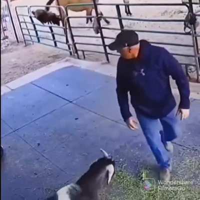 to make a dick move