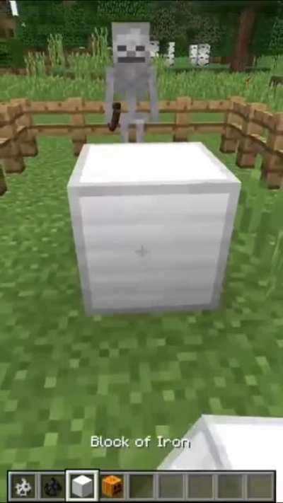 ayo