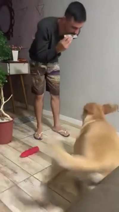 let me show you the dance of my people!