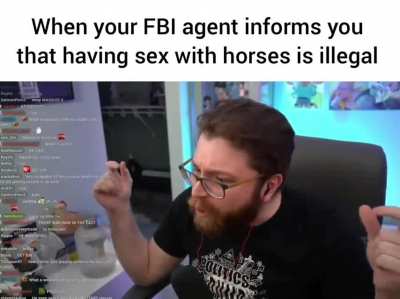obligatory horse meme