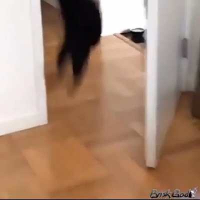 Does this count?