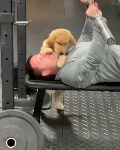 You Can Do It Hooman !