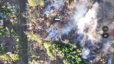 Ukraine's 77th Airmobile Brigade 