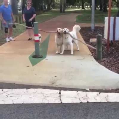 I got you