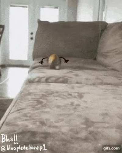 Woah there