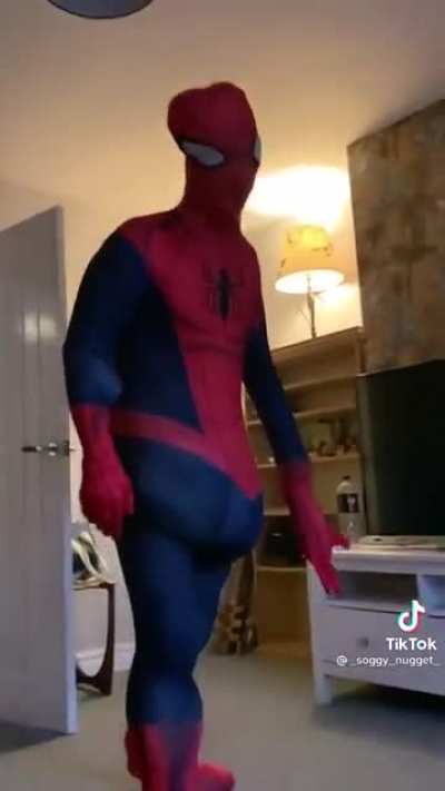 Your friendly neighborhood spiderman.
