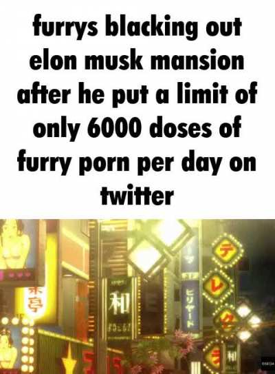 Furry_irl